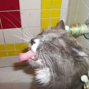 Meet your Posher, Cindy